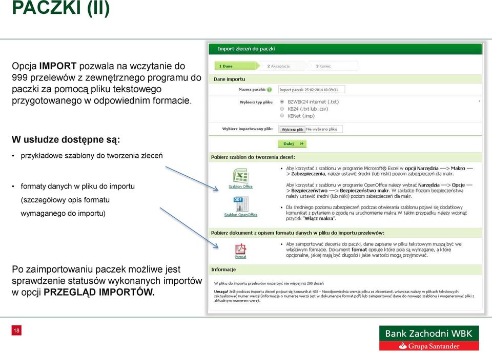 W usłudze dostępne są: przykładowe szablony do tworzenia zleceń formaty danych w pliku do importu