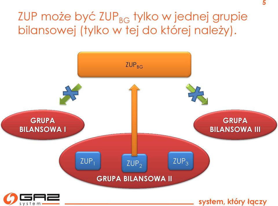 5 ZUP BG GRUPA BILANSOWA I GRUPA