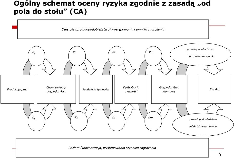 Chów zwierząt gospodarskich Produkcja żywności Dystrybucja żywności Gospodarstwo domowe Ryzyko K p