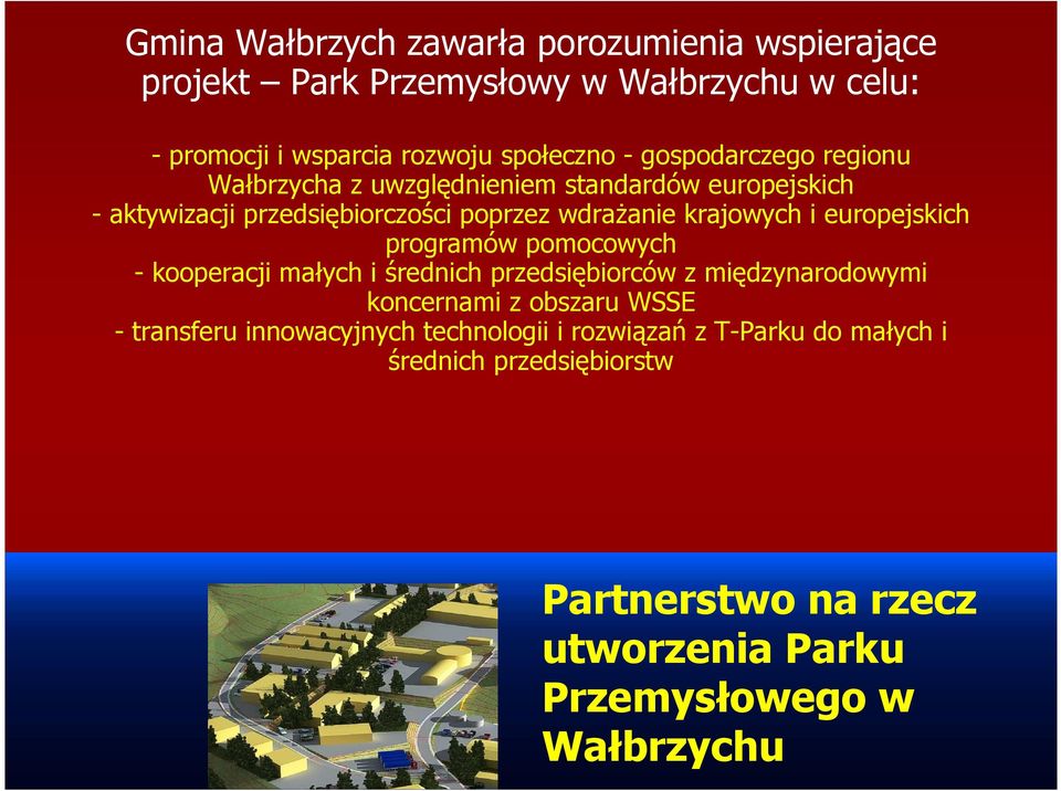 europejskich programów pomocowych - kooperacji małych i średnich przedsiębiorców z międzynarodowymi koncernami z obszaru WSSE - transferu