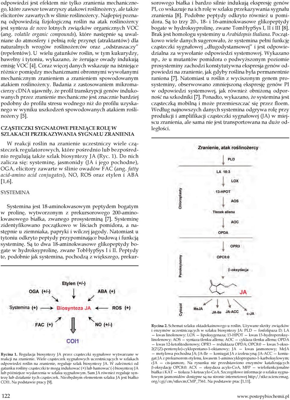 volatile organic compounds), które następnie są uwalniane do atmosfery i pełnią rolę przynęt (atraktantów) dla naturalnych wrogów roślinożerców oraz odstraszaczy (repelentów).