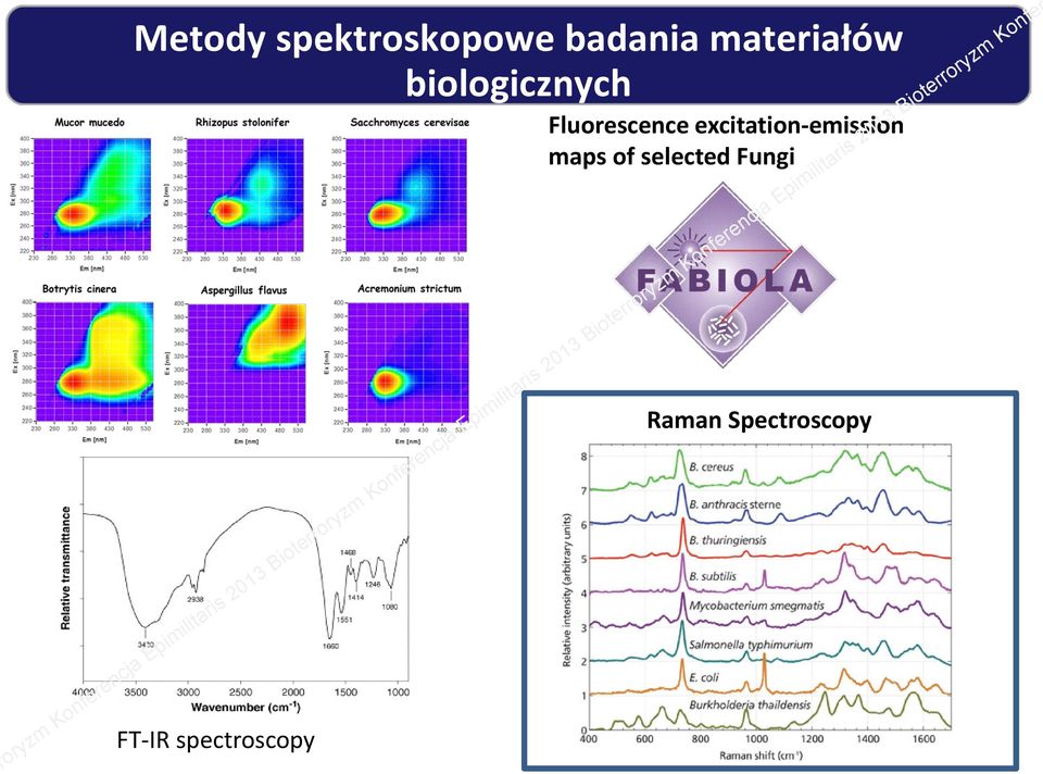 spectroscopy Fluorescence