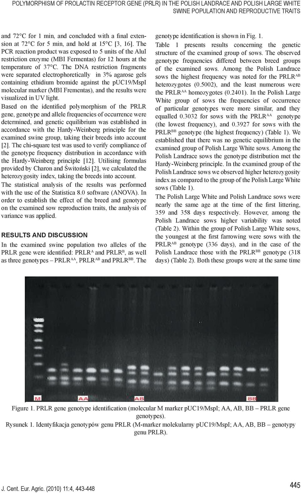 The DNA restriction fragments were separated electrophoretically in 3% agarose gels containing ethidium bromide against the puc19/mspi molecular marker (MBI Frementas), and the results were
