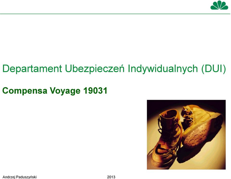 Indywidualnych