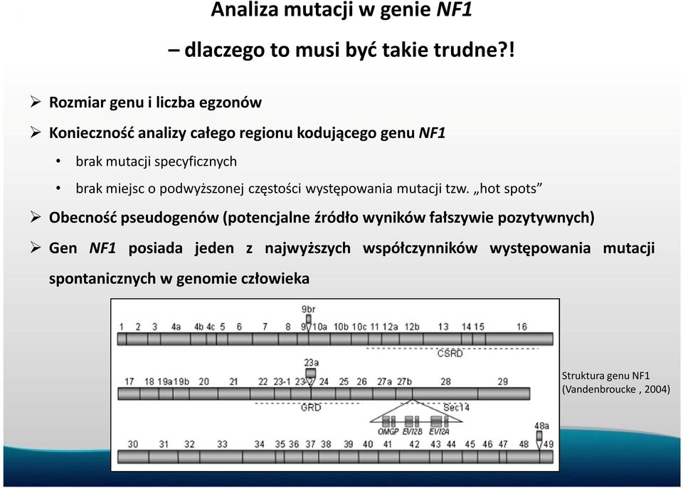 brak miejsc o podwyższonej częstości występowania mutacji tzw.