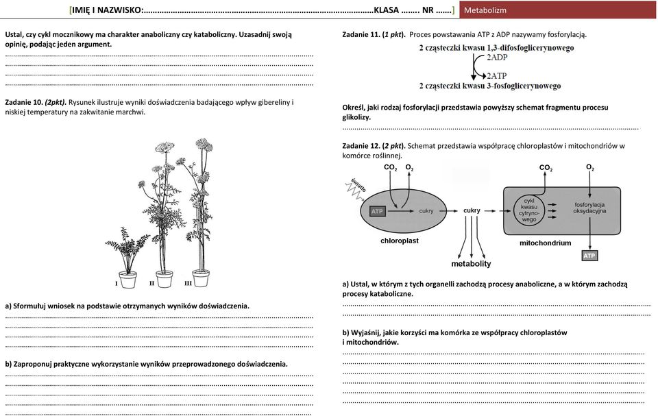 Określ, jaki rodzaj fosforylacji przedstawia powyższy schemat fragmentu procesu glikolizy.... Zadanie 12. (2 pkt). Schemat przedstawia współpracę chloroplastów i mitochondriów w komórce roślinnej.