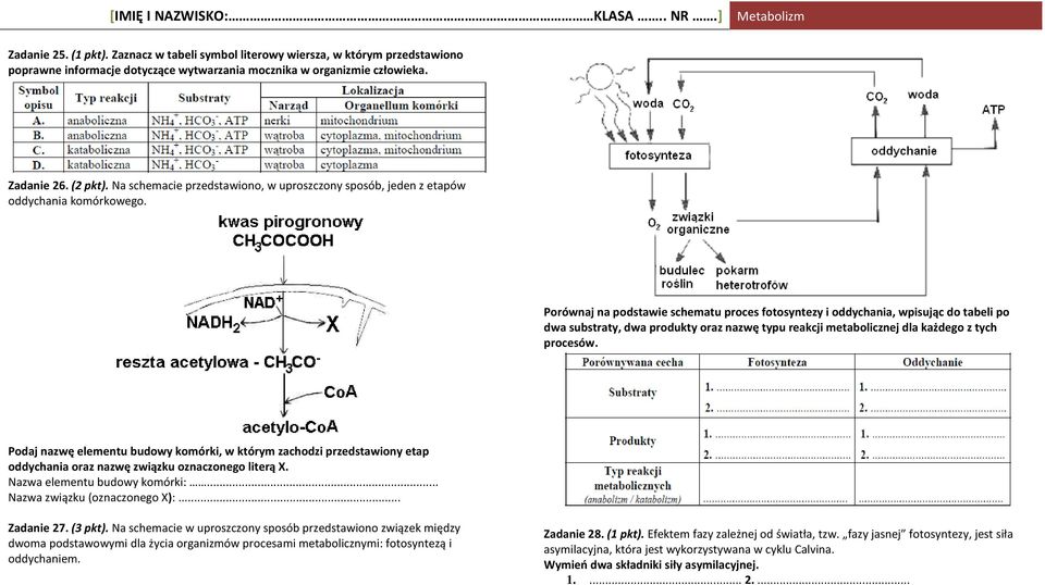 Porównaj na podstawie schematu proces fotosyntezy i oddychania, wpisując do tabeli po dwa substraty, dwa produkty oraz nazwę typu reakcji metabolicznej dla każdego z tych procesów.