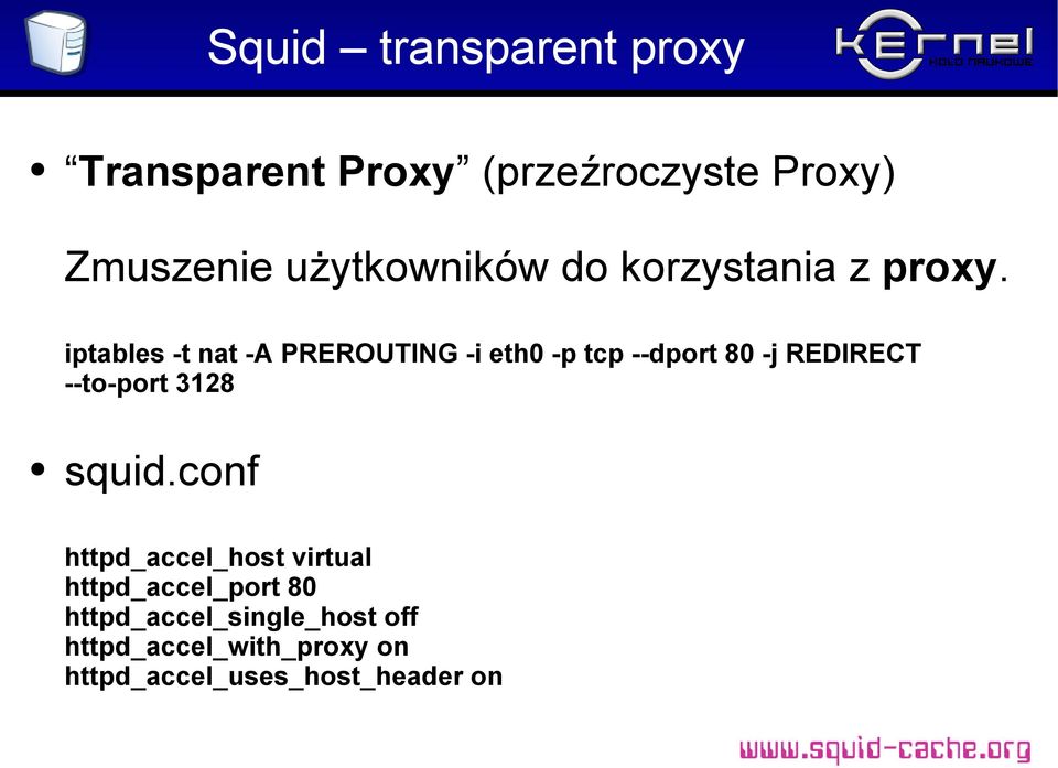 iptables -t nat -A PREROUTING -i eth0 -p tcp --dport 80 -j REDIRECT --to-port 3128