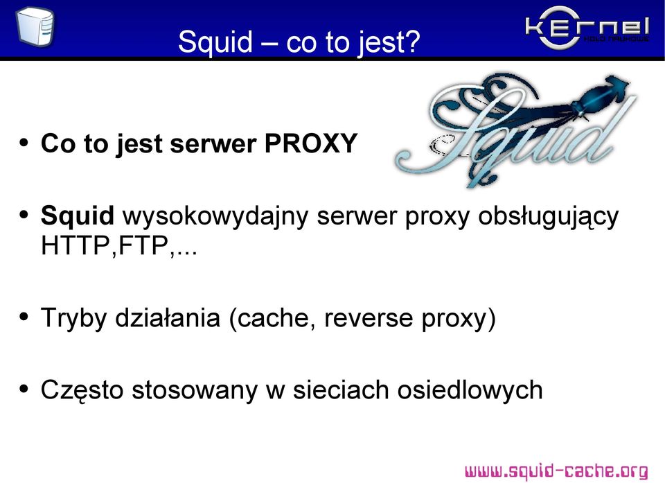 serwer proxy obsługujący HTTP,FTP,.