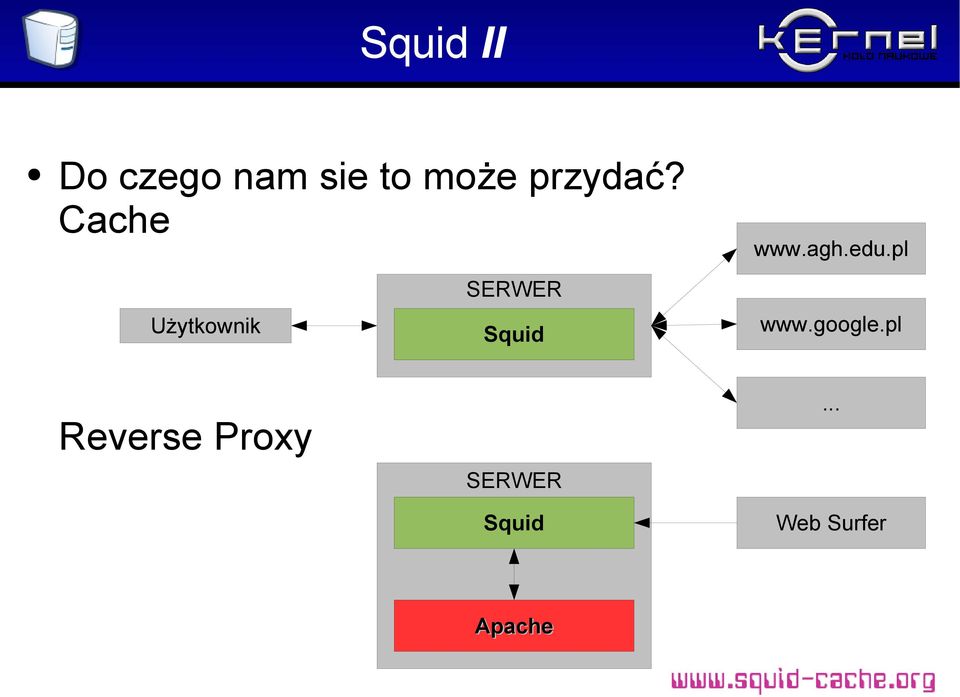 pl Użytkownik SERWER Squid www.google.