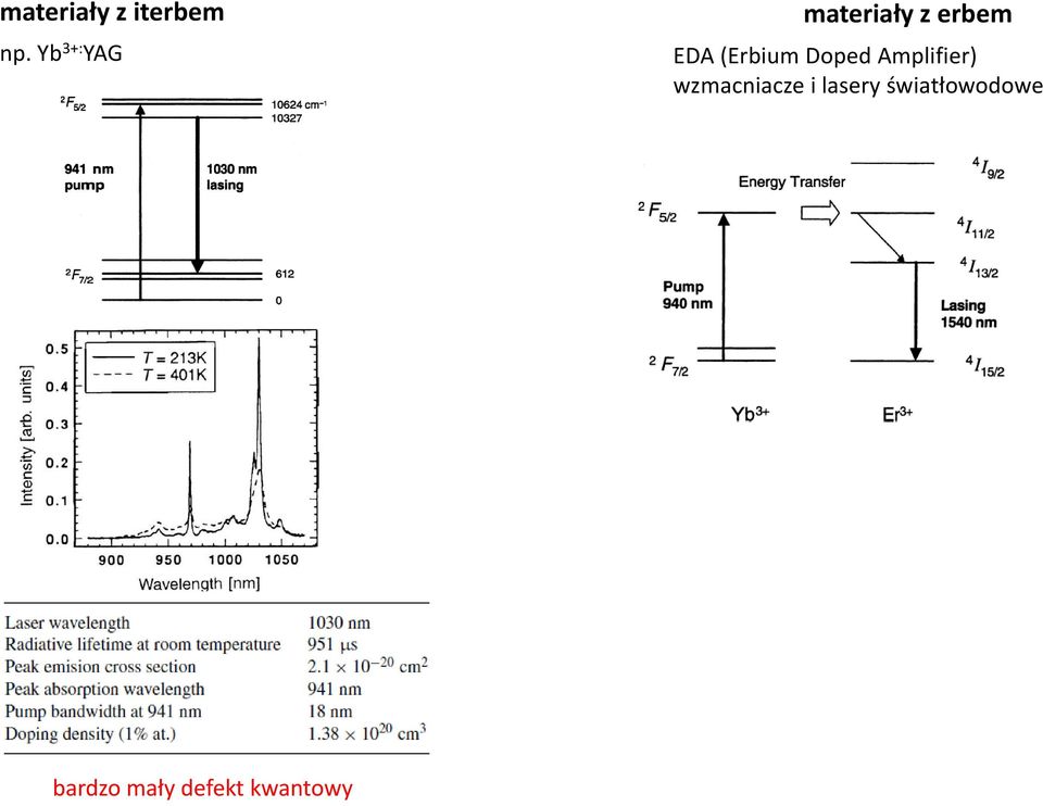 (Erbium Doped Amplifier)