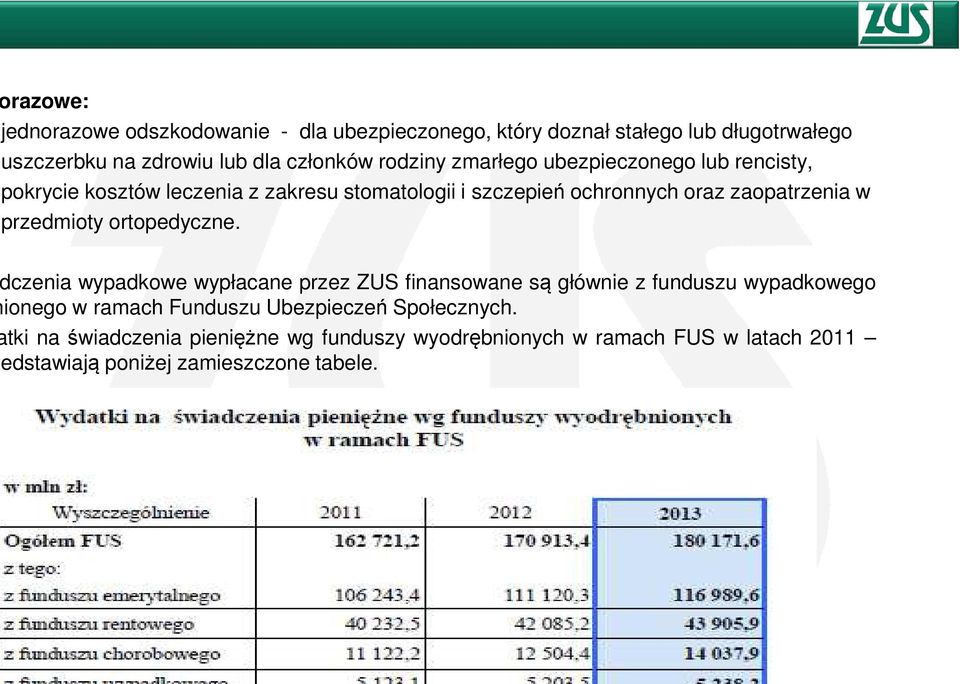 przedmioty ortopedyczne.