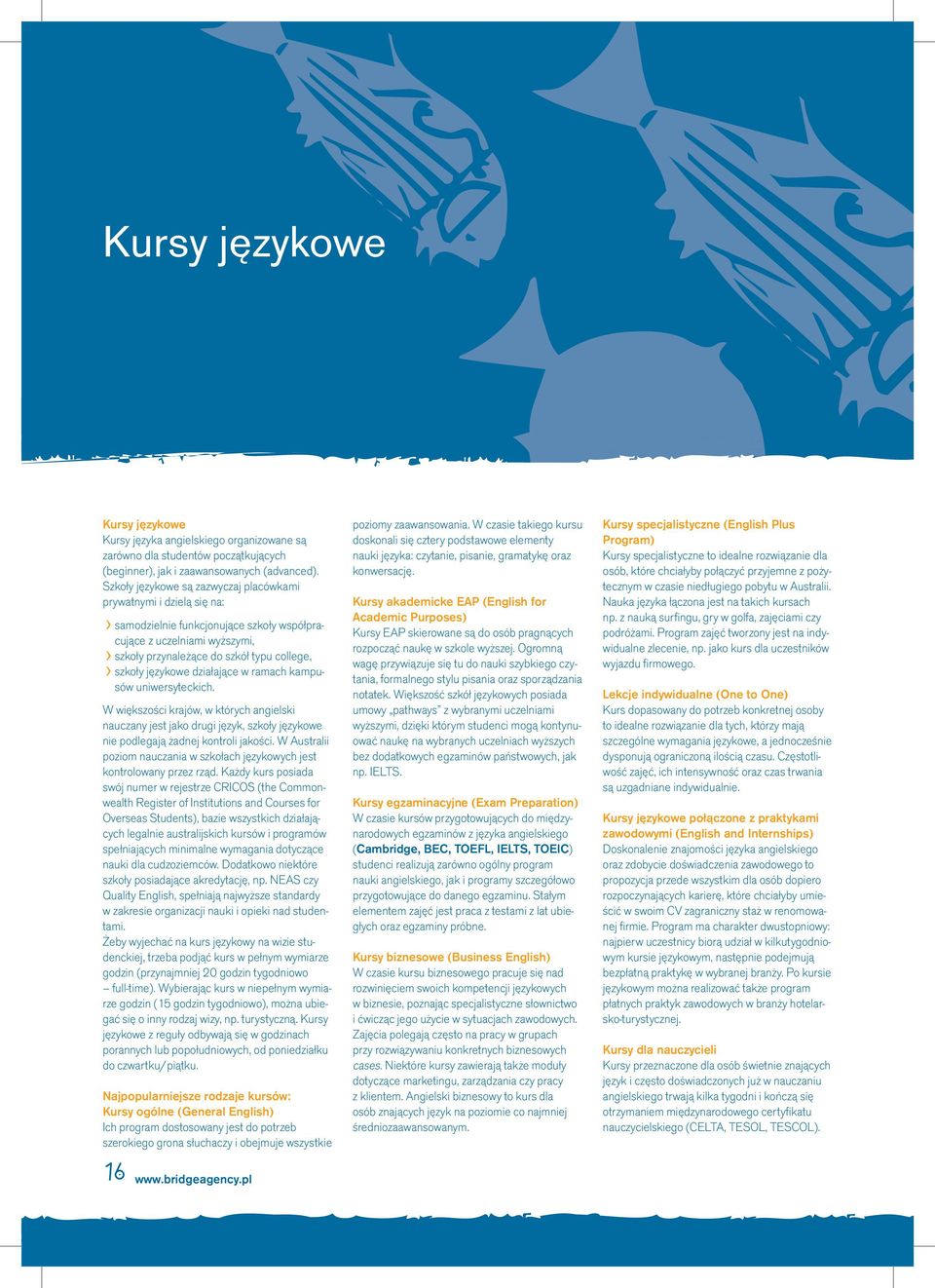 językowe działające w ramach kampusów uniwersyteckich. W większości krajów, w których angielski nauczany jest jako drugi język, szkoły językowe nie podlegają żadnej kontroli jakości.