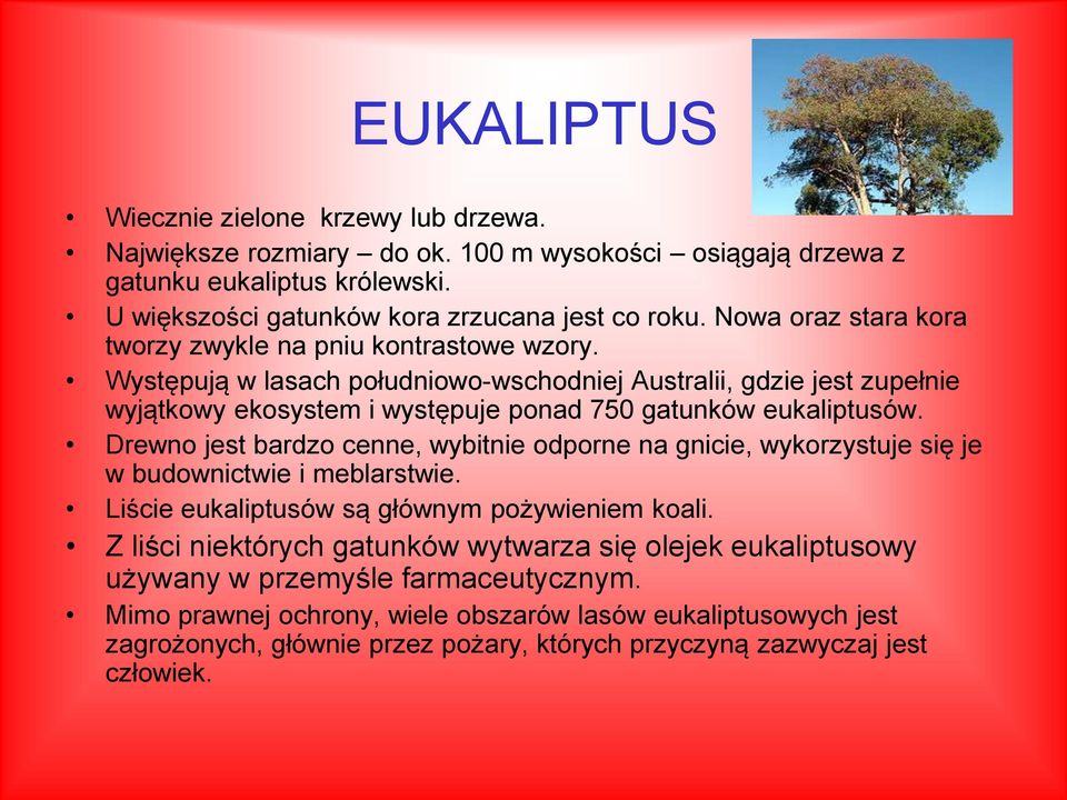 Dowiedz Się Ile Gatunków Roślin I Zwierząt Występuje Na świecie ZAGROŻONE GATUNKI ZWIERZĄT I ROŚLIN W POLSCE I NA ŚWIECIE. Karolina