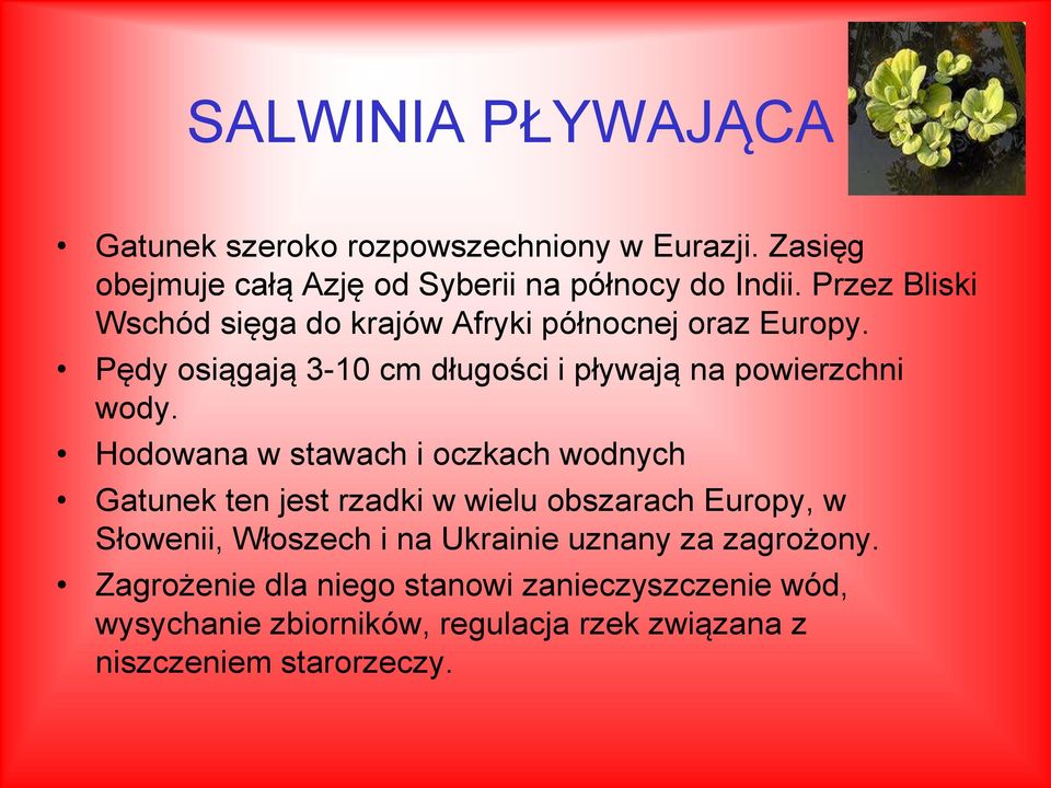 Hodowana w stawach i oczkach wodnych Gatunek ten jest rzadki w wielu obszarach Europy, w Słowenii, Włoszech i na Ukrainie uznany