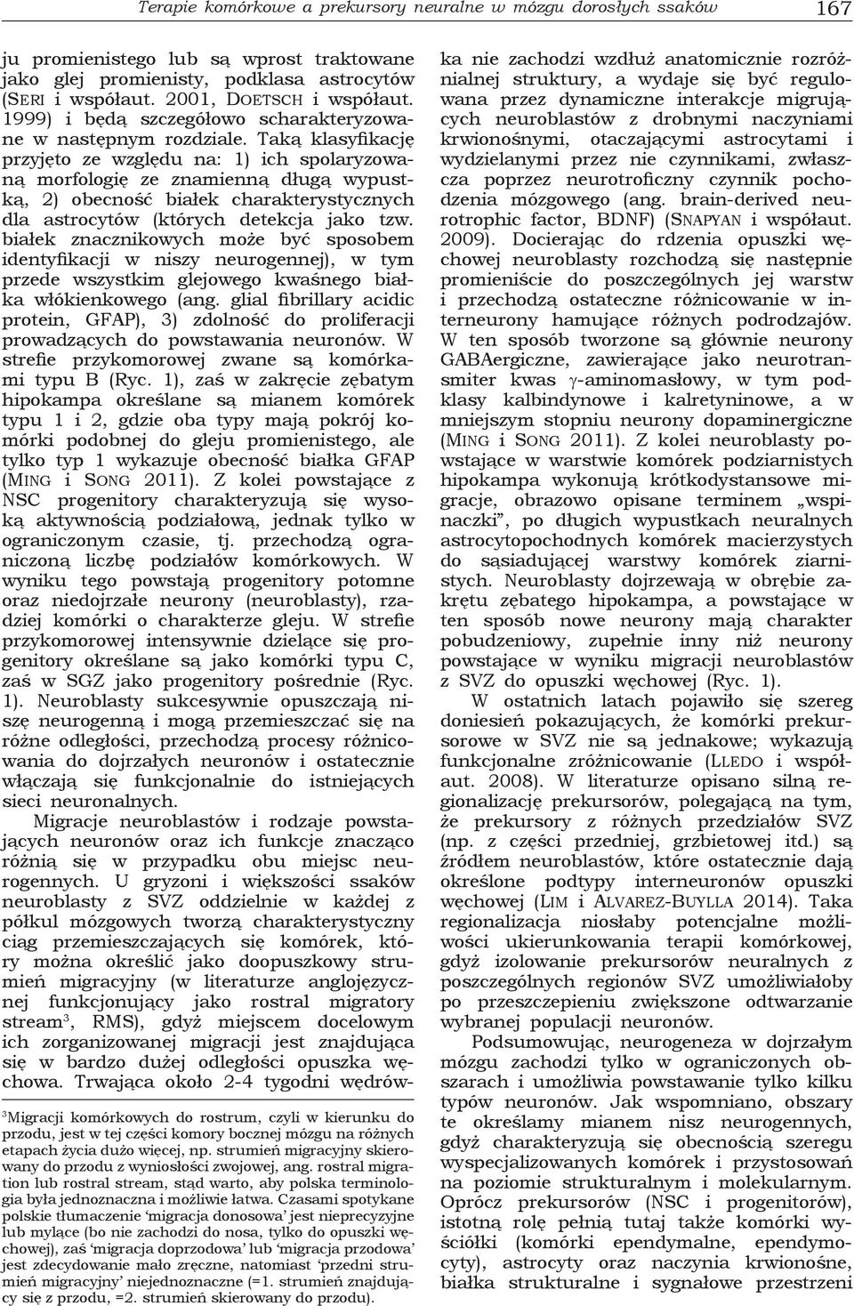 Taką klasyfikację przyjęto ze względu na: 1) ich spolaryzowaną morfologię ze znamienną długą wypustką, 2) obecność białek charakterystycznych dla astrocytów (których detekcja jako tzw.