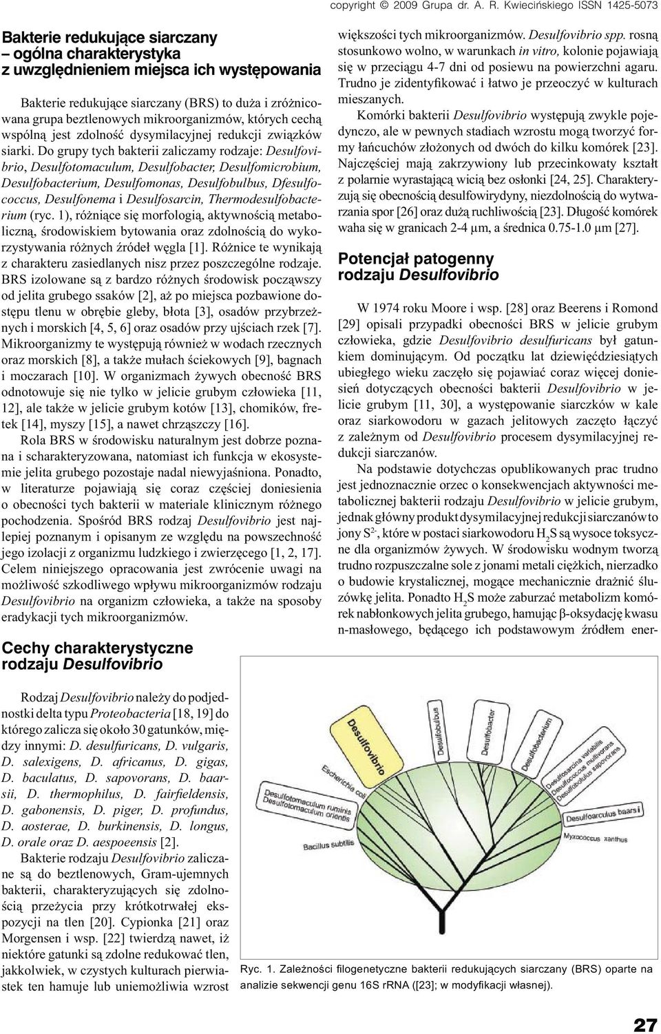 Thermodesulfobacterium (ryc. 1), różniące się morfologią, aktywnością metaboliczną, środowiskiem bytowania oraz zdolnością do wykorzystywania różnych źródeł węgla [1].
