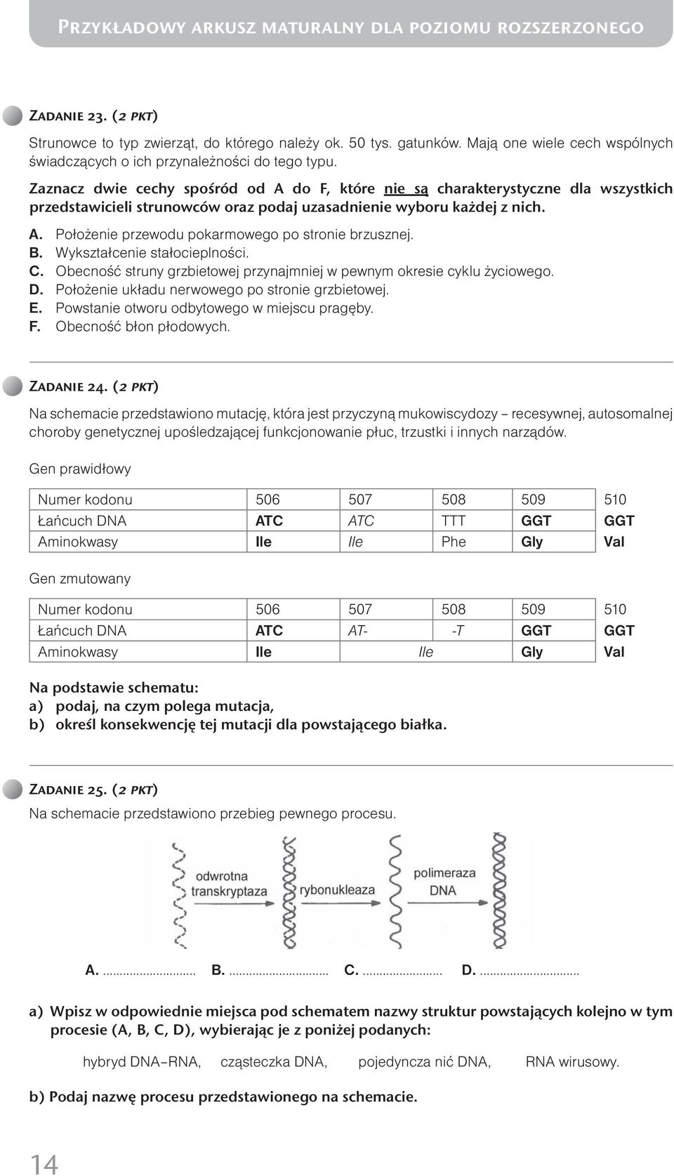 B. Wykształcenie stałocieplności. C. Obecność struny grzbietowej przynajmniej w pewnym okresie cyklu życiowego. D. Położenie układu nerwowego po stronie grzbietowej. E.