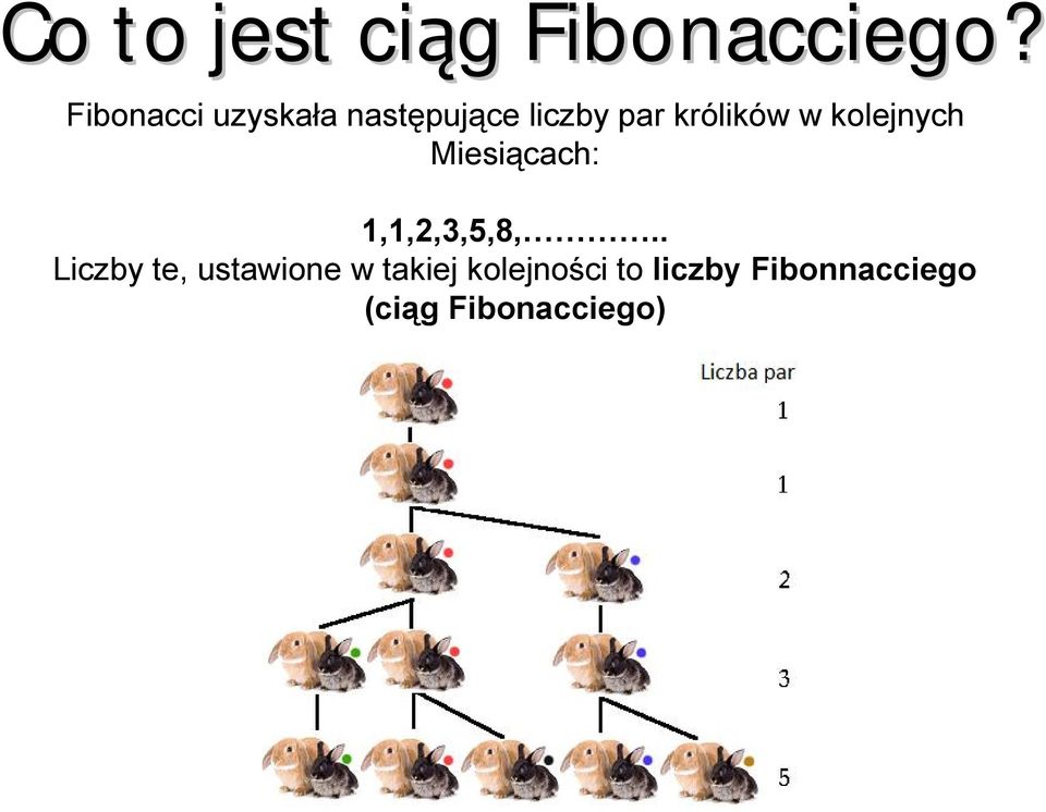 w kolejnych Miesiącach: 1,1,2,3,5,8,.