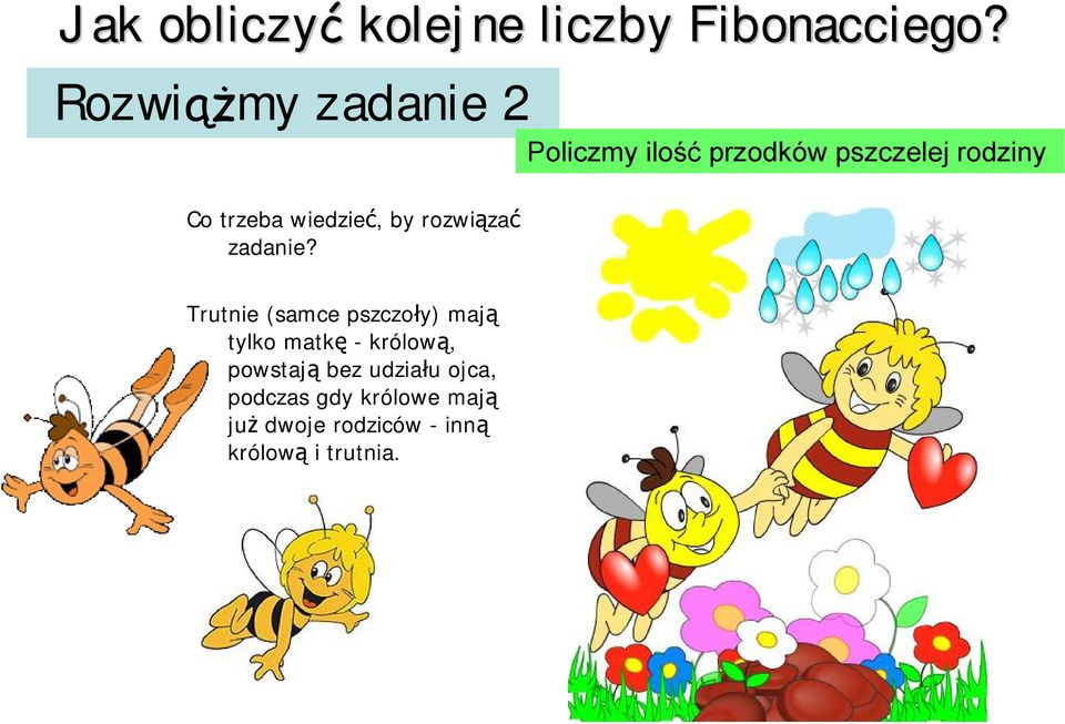 Policzmy ilość przodków pszczelej rodziny Trutnie (samce pszczoły) mają