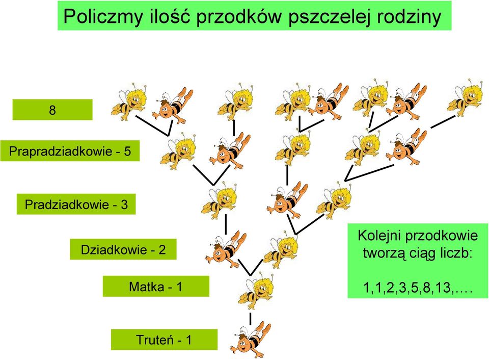 Dziadkowie - 2 Matka - 1 Kolejni