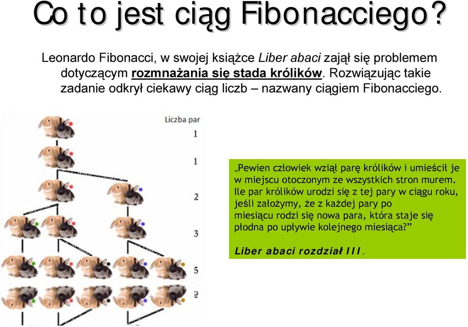 Rozwiązując takie zadanie odkrył ciekawy ciąg liczb nazwany ciągiem Fibonacciego.