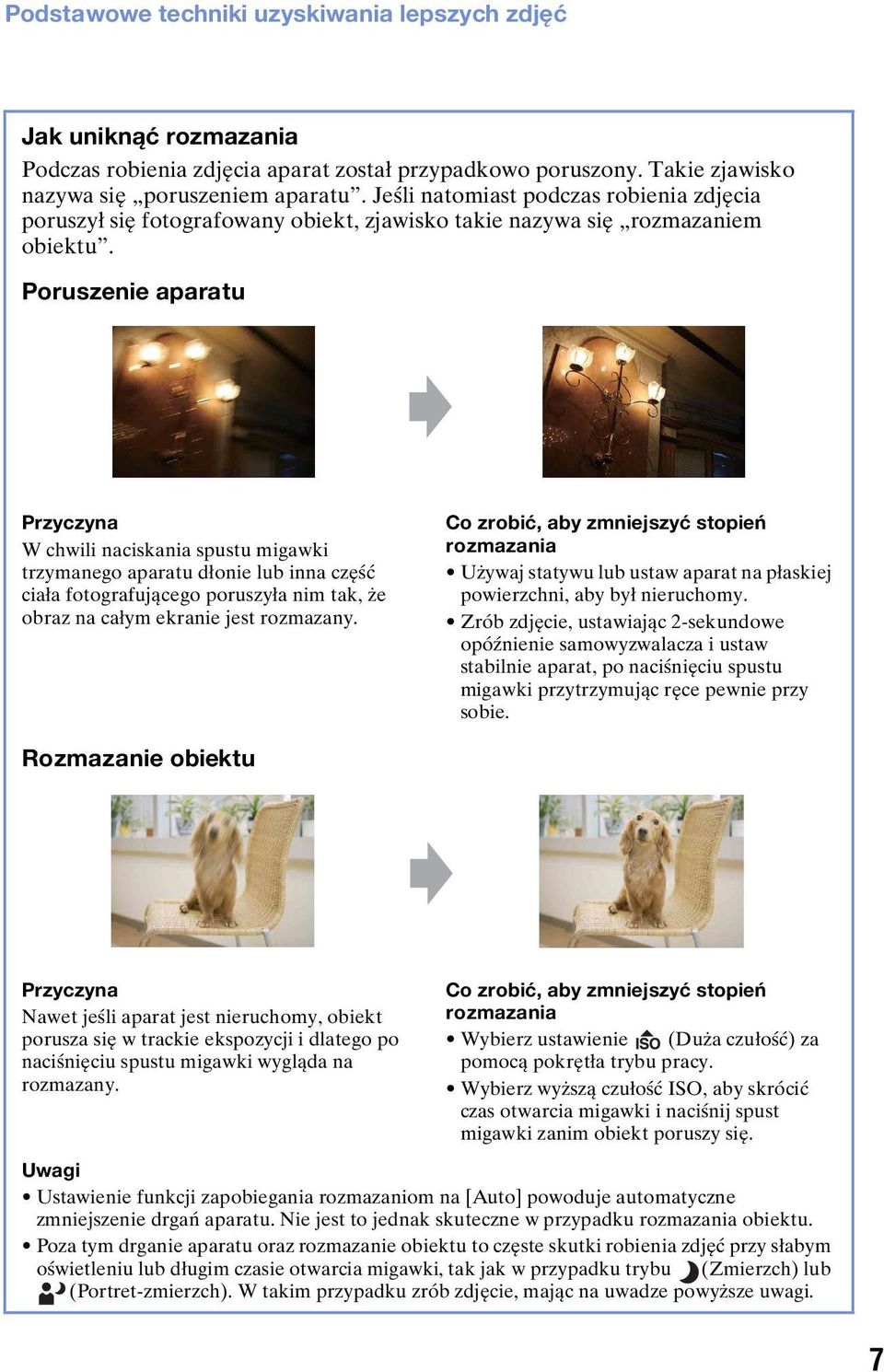 Poruszenie aparatu Przyczyna W chwili naciskania spustu migawki trzymanego aparatu dłonie lub inna część ciała fotografującego poruszyła nim tak, że obraz na całym ekranie jest rozmazany.