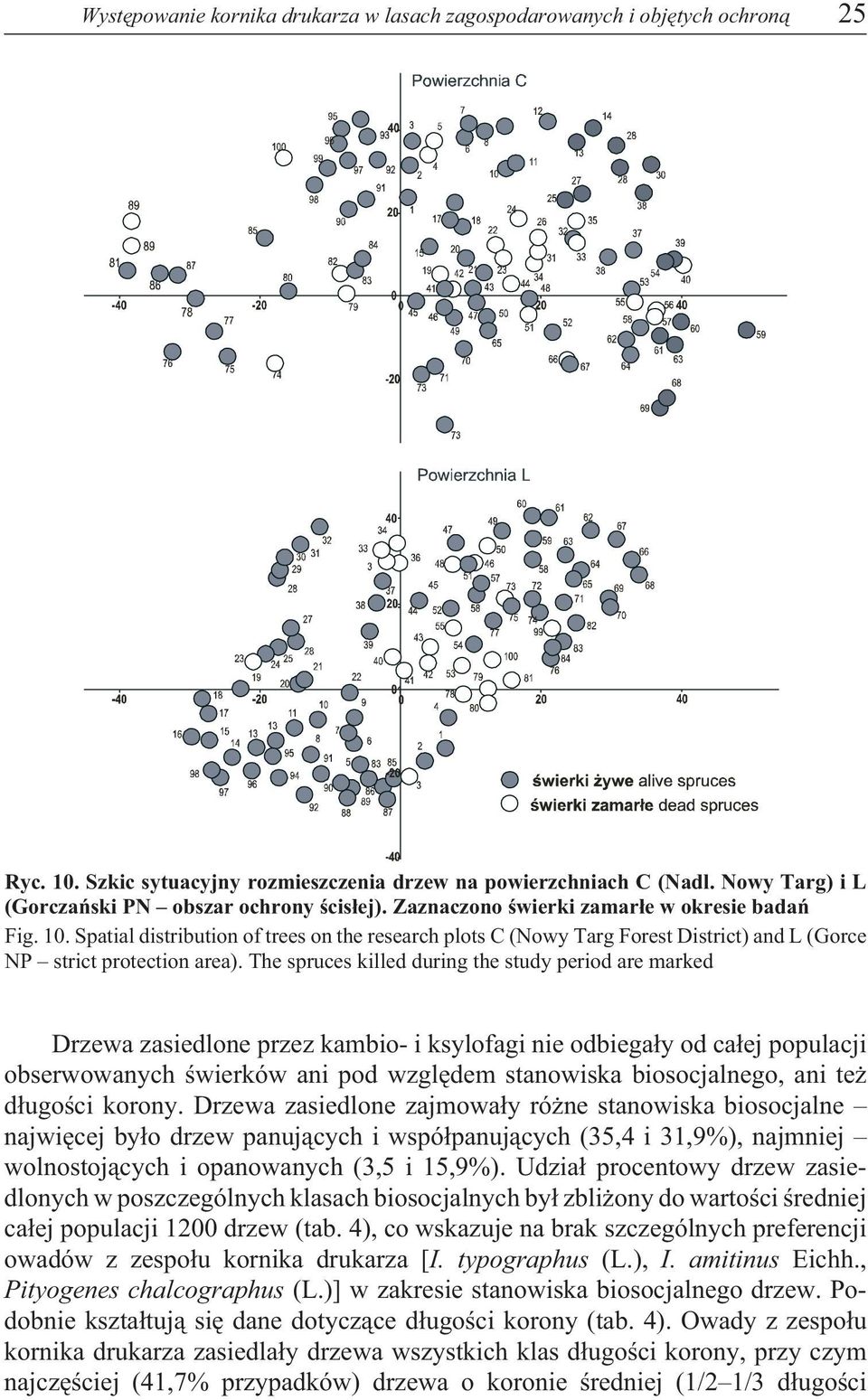 Spatial distribution of trees on the research plots C (Nowy Targ Forest District) and L (Gorce NP strict protection area).