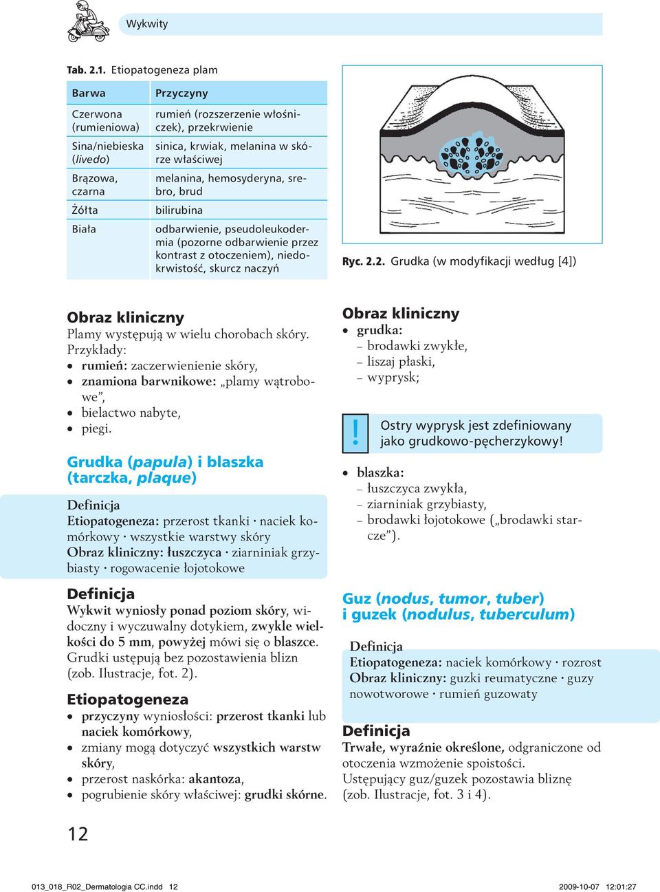 hemosyderyna, srebro, brud bilirubina odbarwienie, pseudoleukodermia (pozorne odbarwienie przez kontrast z otoczeniem), niedokrwistość, skurcz naczyń Ryc. 2.