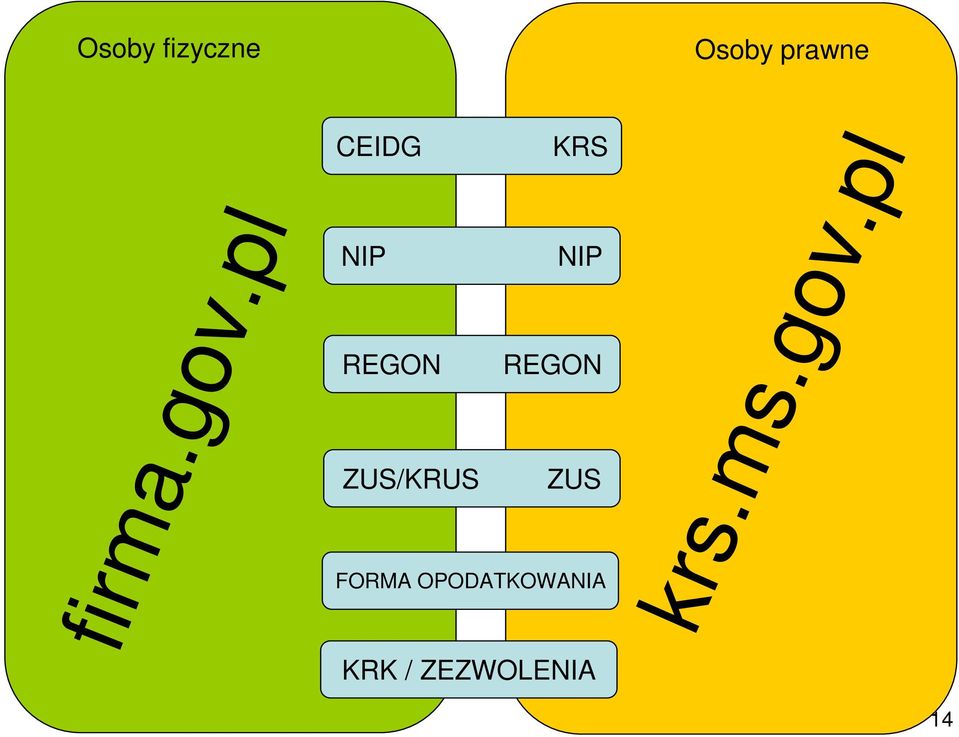 REGON ZUS/KRUS ZUS FORMA