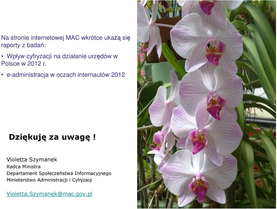 e-administracja w oczach internautów 2012 Dziękuję za uwagę!