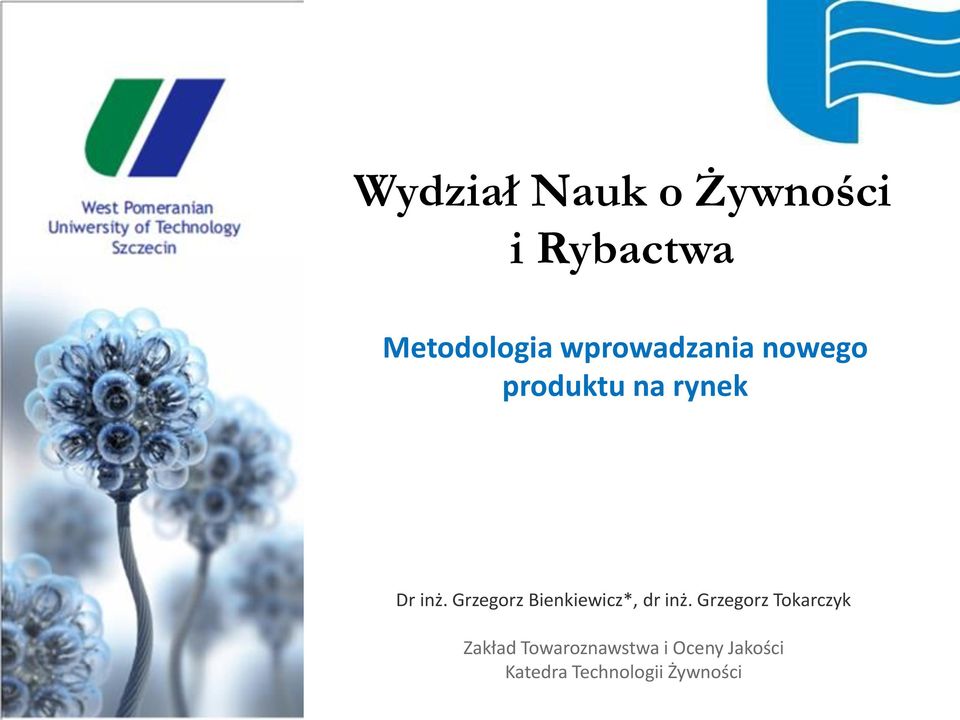 Grzegorz Bienkiewicz*, dr inż.