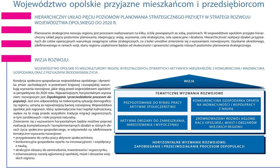 W województwie opolskim przyjęto hierarchiczny układ pięciu poziomów planowania, obejmujący: wizję, wyzwania, cele strategiczne, cele operacyjne i działania.