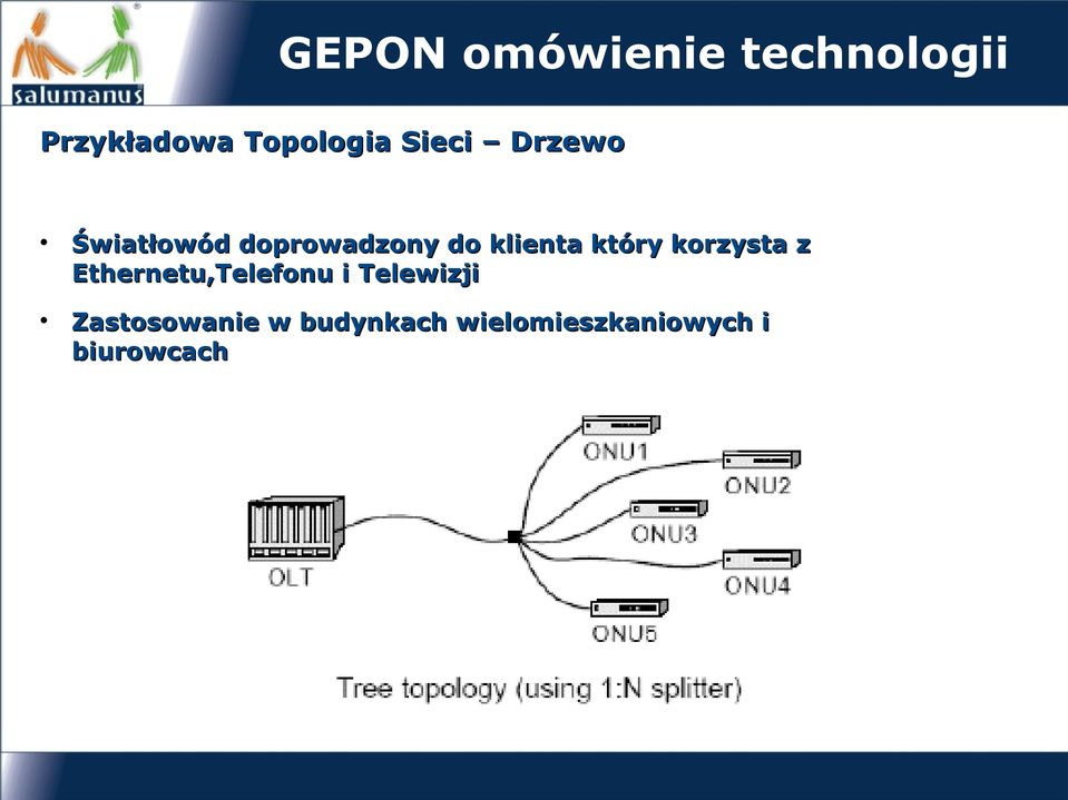 który korzysta z Ethernetu,Telefonu i Telewizji