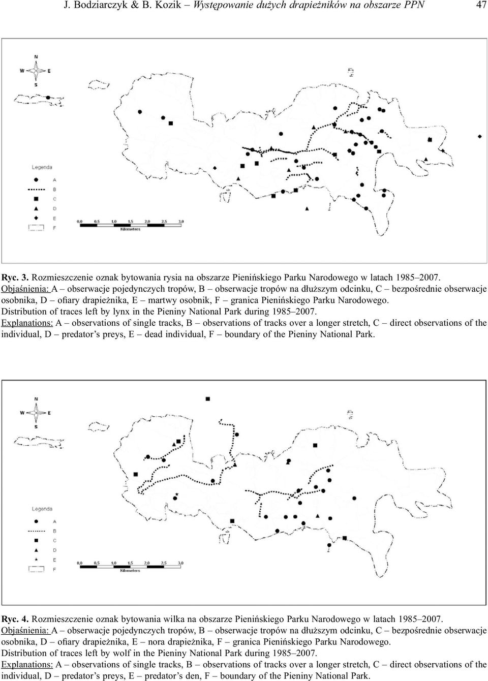 Narodowego. Distribution of traces left by lynx in the Pieniny National Park during 1985 2007.