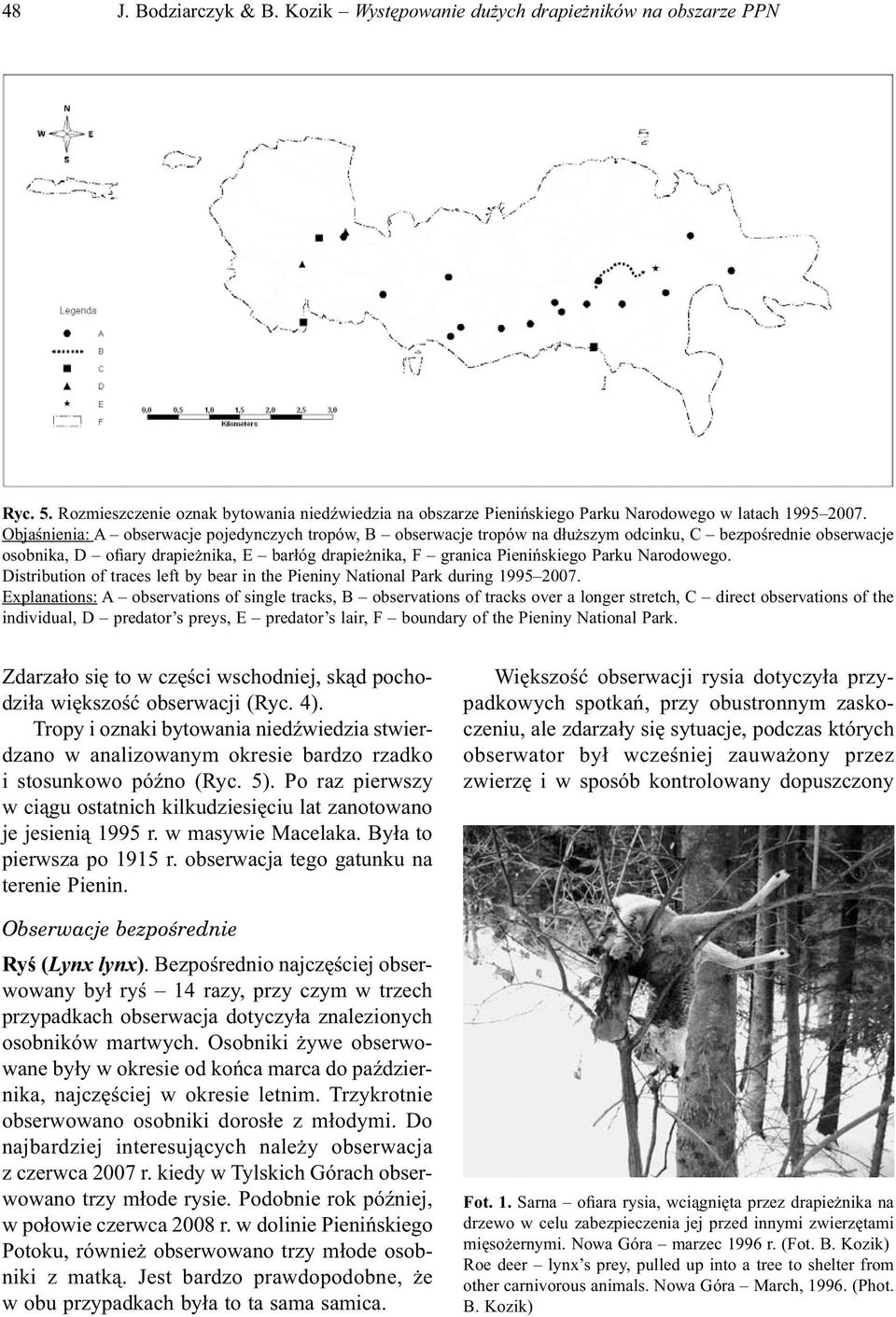 Narodowego. Distribution of traces left by bear in the Pieniny National Park during 1995 2007.