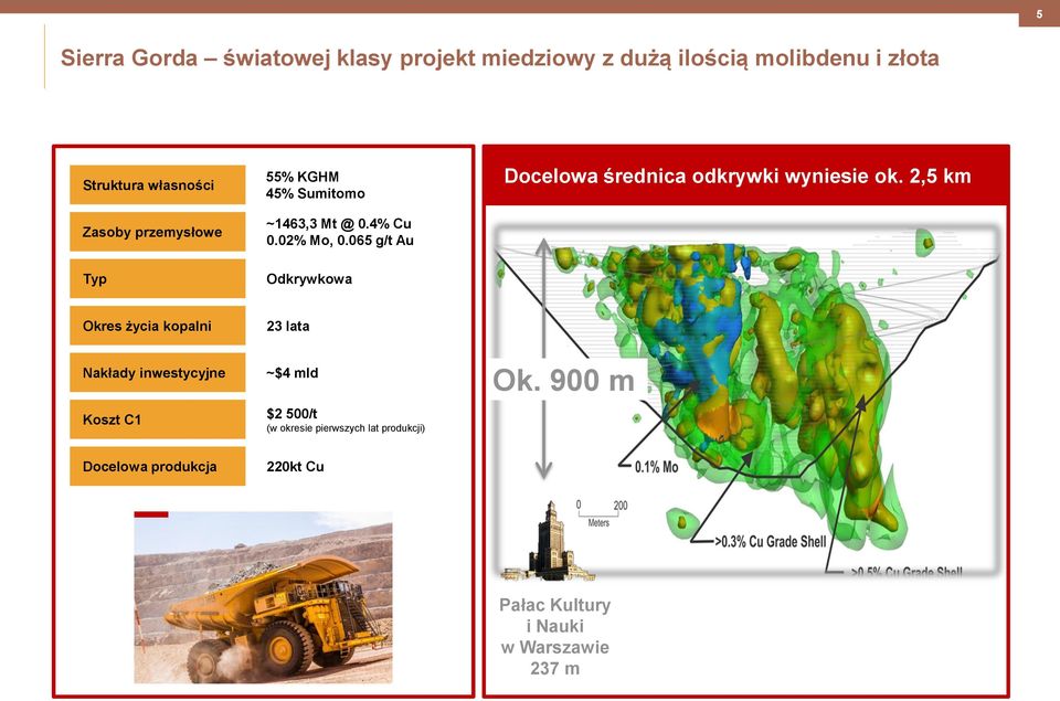 065 g/t Au Docelowa średnica odkrywki wyniesie ok.