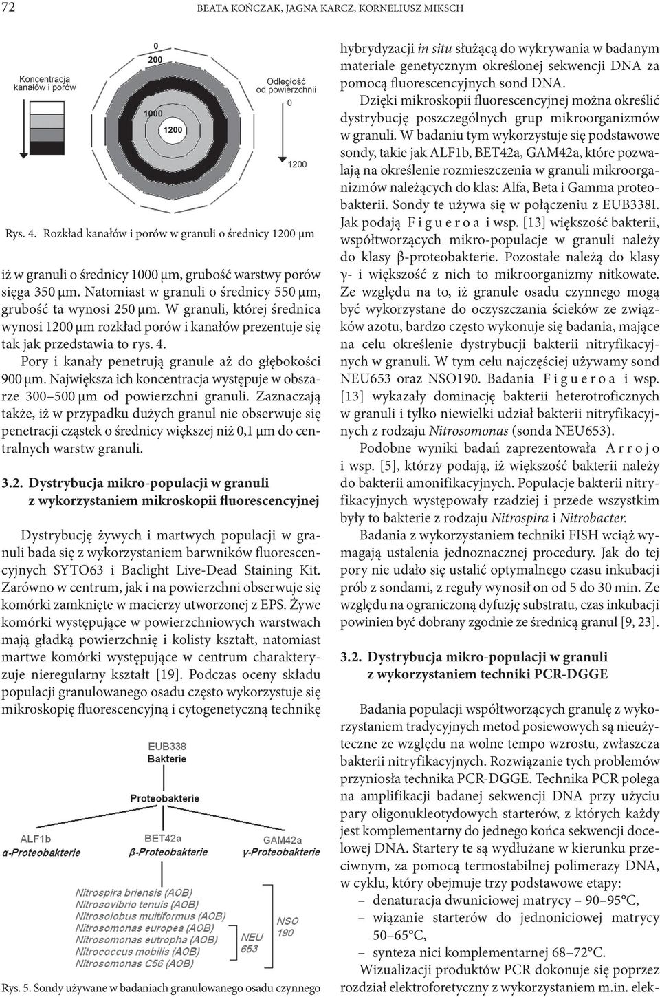 Pory i kanały penetrują granule aż do głębokości 900 µm. Największa ich koncentracja występuje w obszarze 300 500 µm od powierzchni granuli.