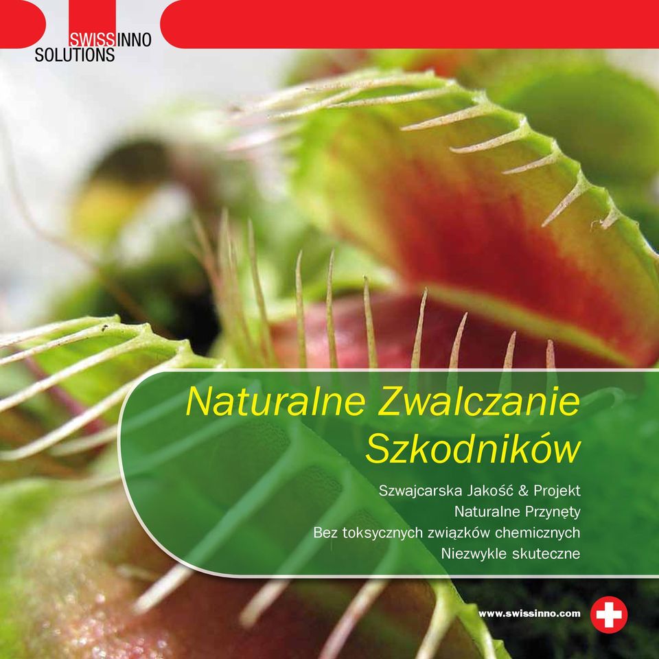 Przynęty Bez toksycznych związków