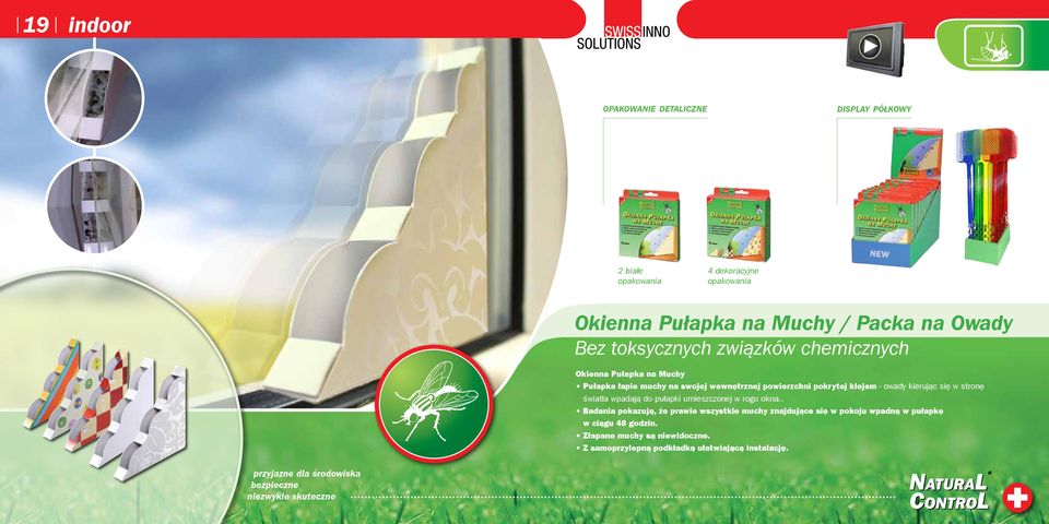 kierując się w stronę światła wpadają do pułapki umieszczonej w rogu okna.