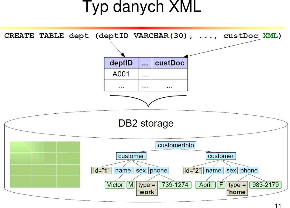 XML 11