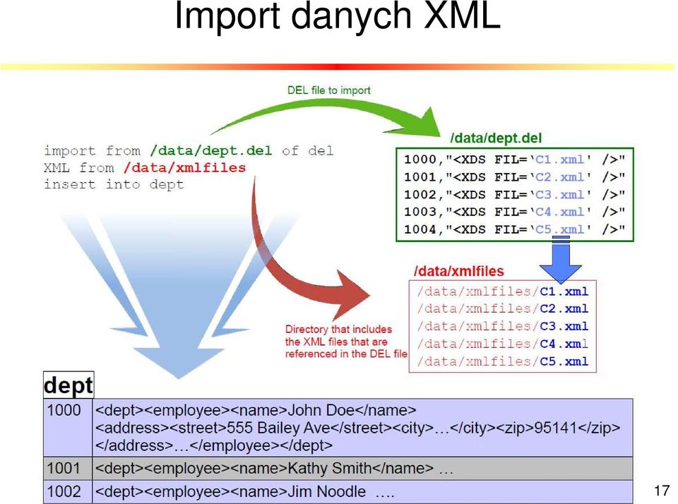 XML 17