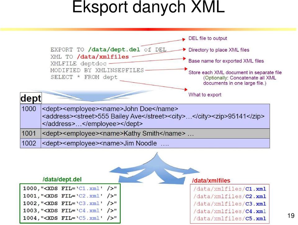 XML 19