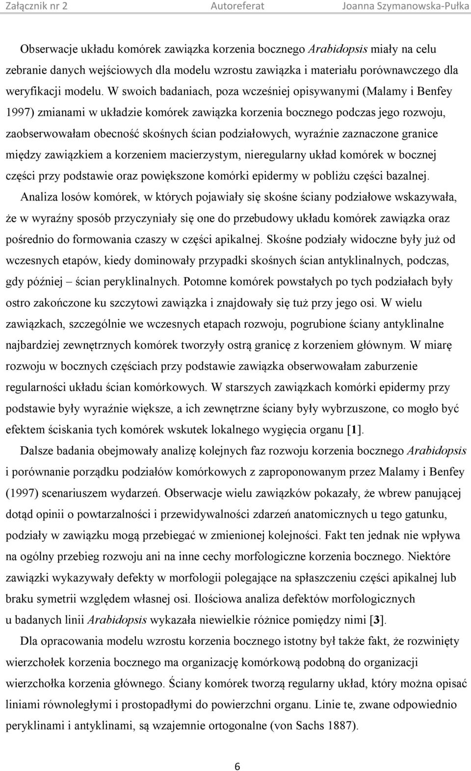 wyraźnie zaznaczone granice między zawiązkiem a korzeniem macierzystym, nieregularny układ komórek w bocznej części przy podstawie oraz powiększone komórki epidermy w pobliżu części bazalnej.