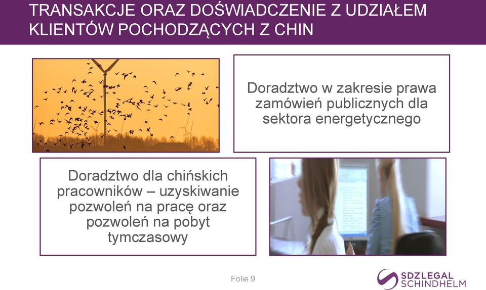 sektora energetycznego Doradztwo dla chińskich pracowników