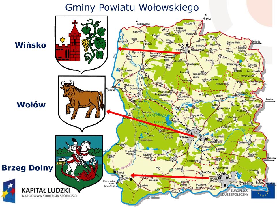Wołowskiego