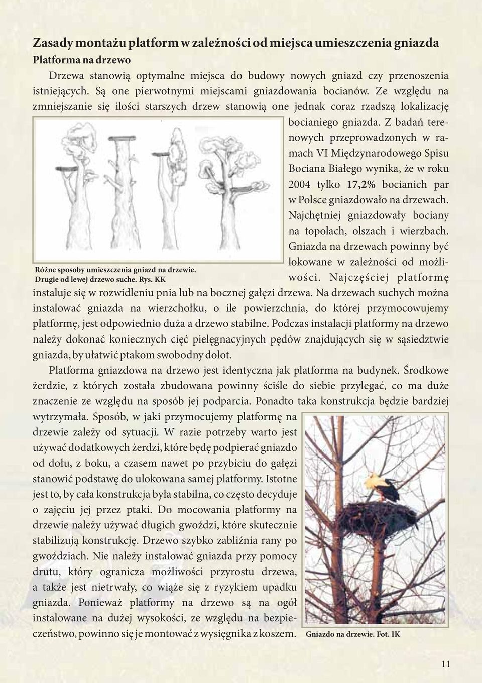 Z badań terenowych przeprowadzonych w ramach VI Międzynarodowego Spisu Bociana Białego wynika, że w roku 2004 tylko 17,2% bocianich par w Polsce gniazdowało na drzewach.