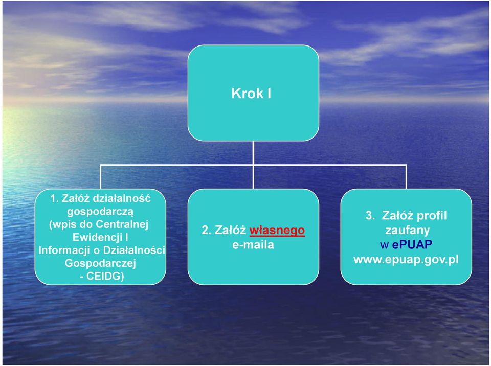 Centralnej Ewidencji I Informacji o Działalności