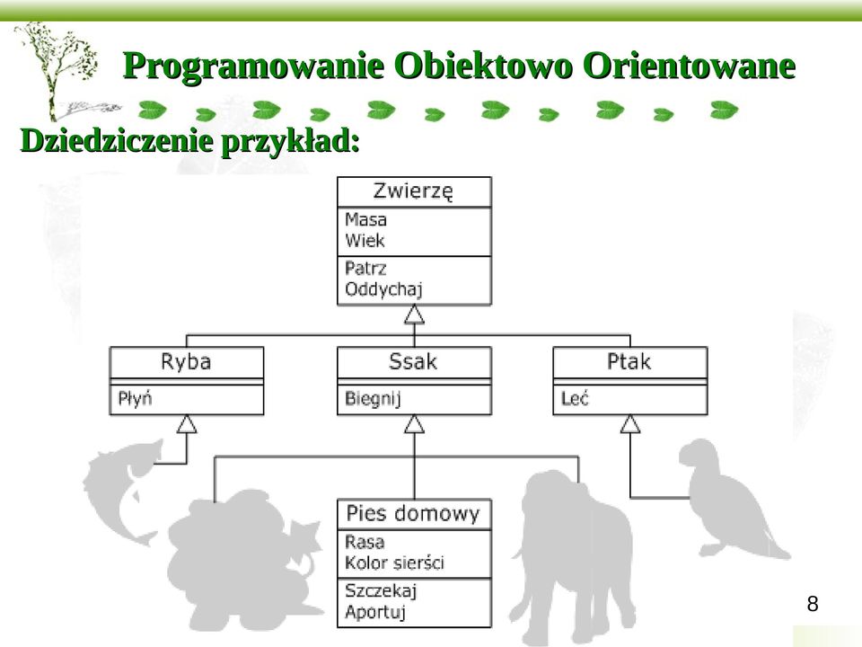 Orientowane