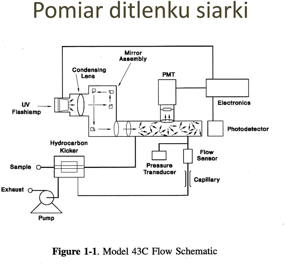 siarki